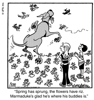 marmaduke